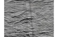 EXIT Trampoline Afdekhoes 253cm -Beste Trampoline Winkel cf4462597a8d247cb9c3b46308ed40219b39966aeee835a5f57f6c401a1e5aaa